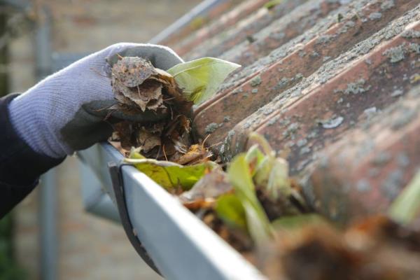 Person cleaning the gutters of a rental property